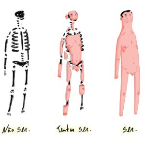 ilustração evolução do homem