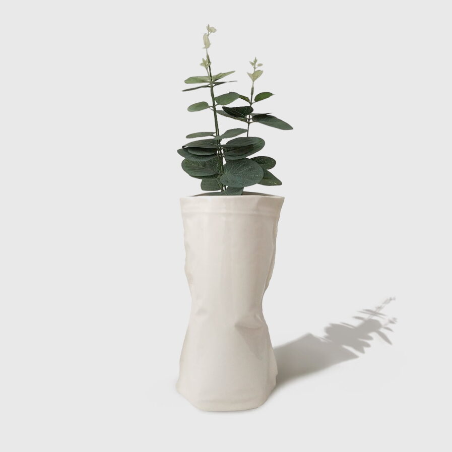 jar plant