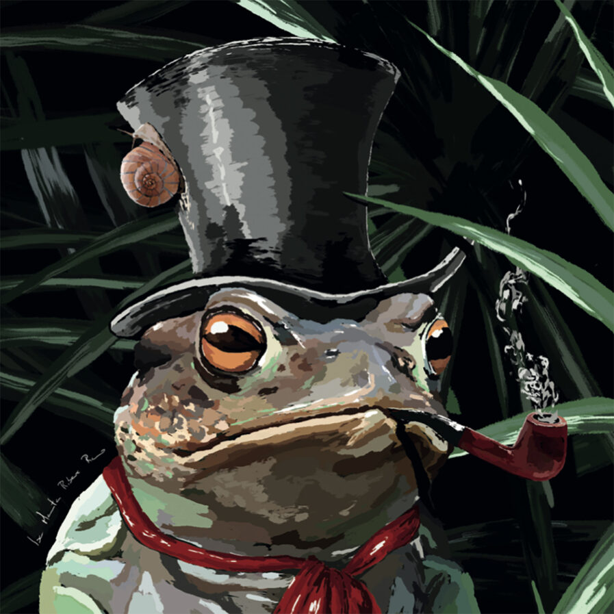 Toad wearing a heat illustration by Marita
