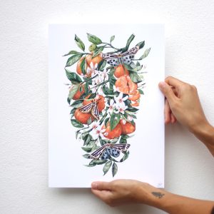 drawing of a branch with clementines by sara No, Ibuki