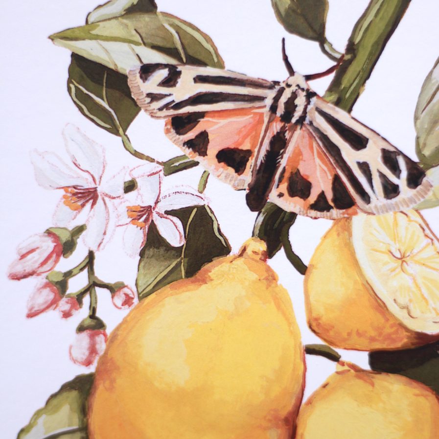 painting of a branch with lemons by sara No, Ibuki