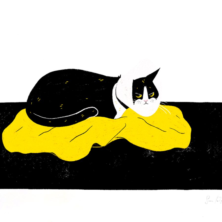 Sara Felgueiras's cat illustration